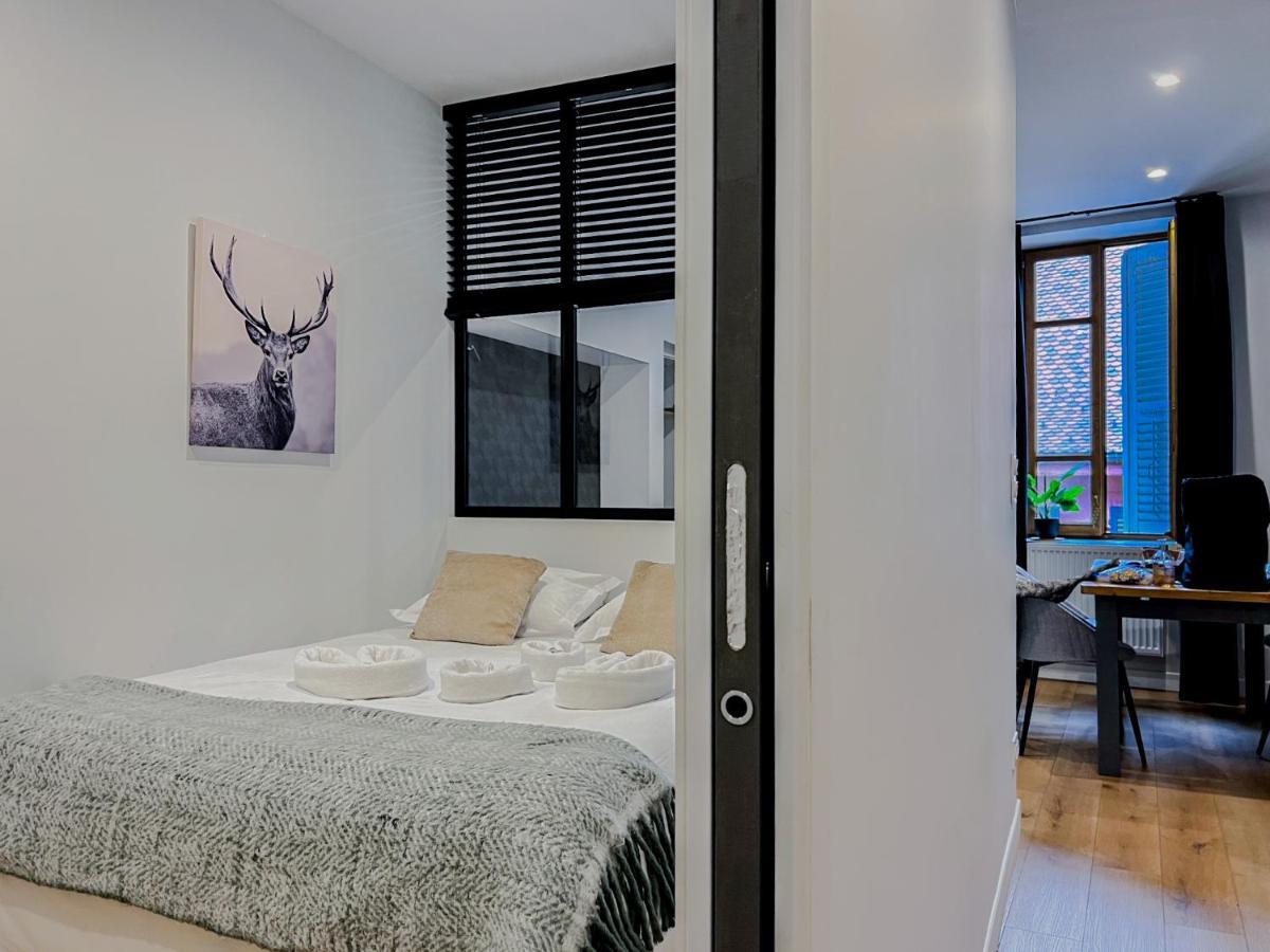 Balneo Village Vieille Ville Annecy Ngoại thất bức ảnh